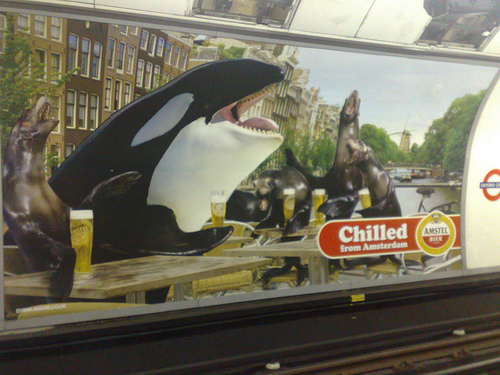 Chilled from Amsterdam